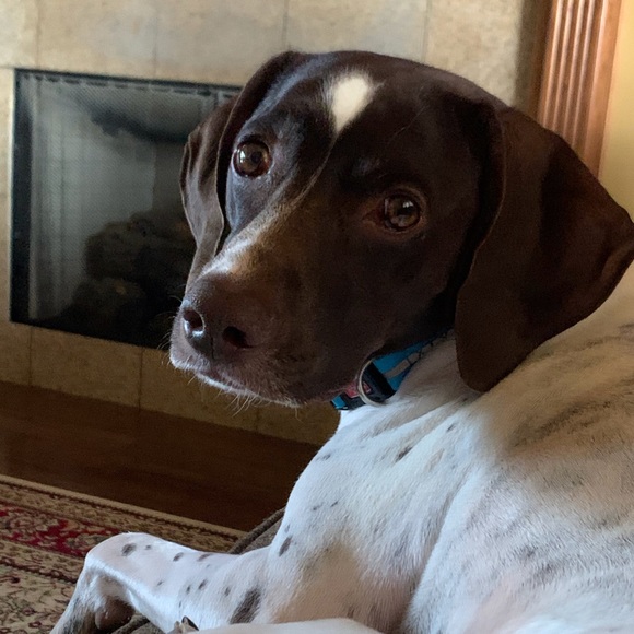 Meet your Posher, Chasity - Picture 1 of 1